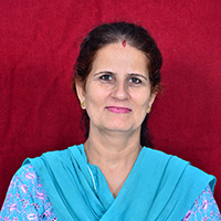 social-science-teacher social-science-teacher